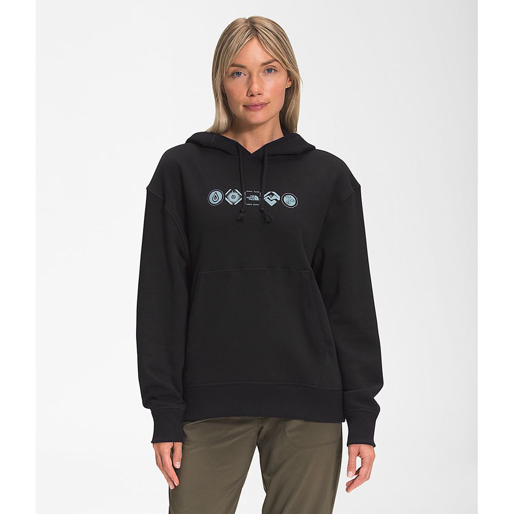 The North Face Hoodie Womens Australia - The North Face Himalayan Bottle Source Pullover Black (QUA-